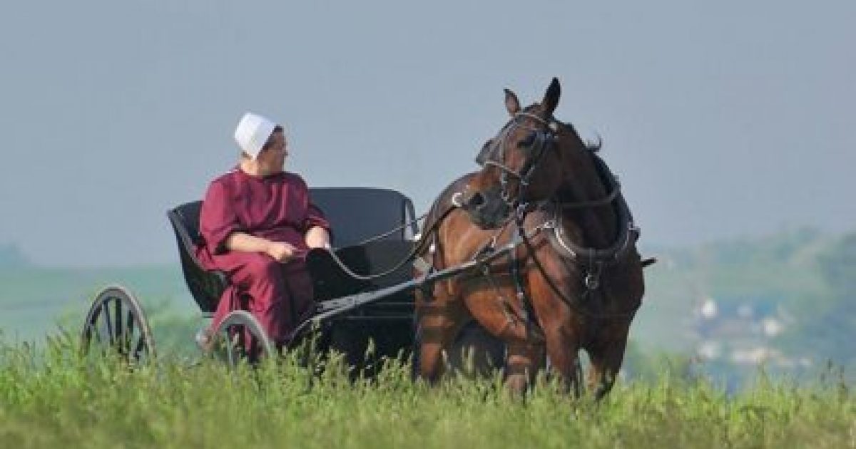What are amish bedroom rules?