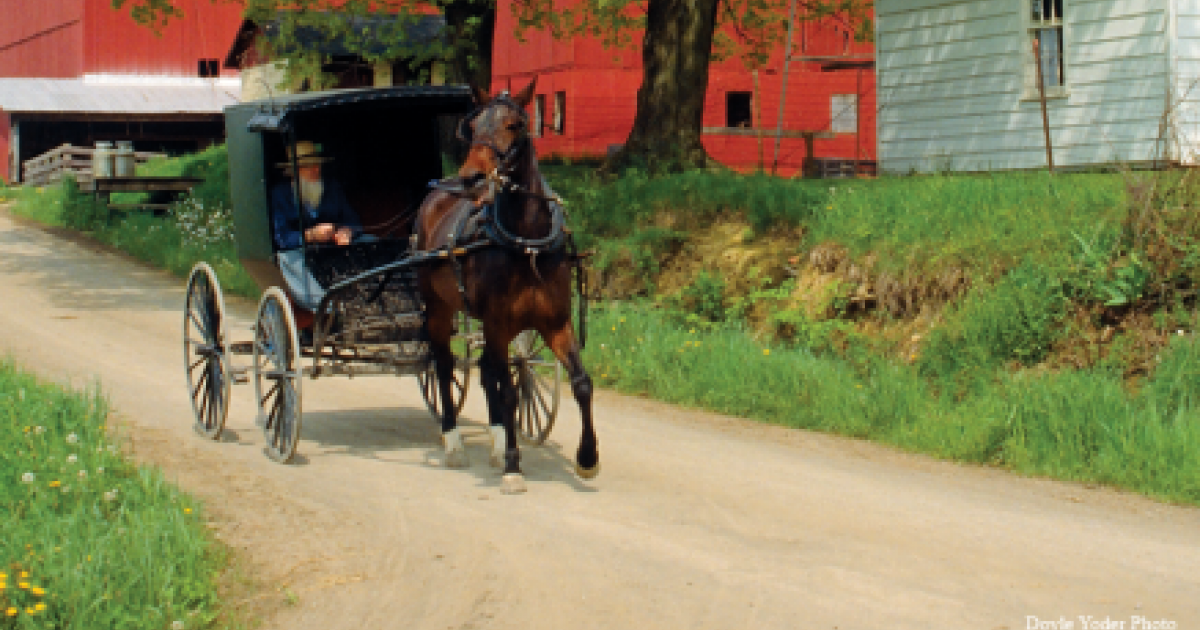 Amish transportation | Ohio's Amish Country