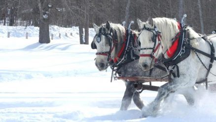 An-old-fashioned-winter