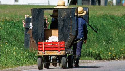 Authentic-Amish-Co-Doyle-Yoder