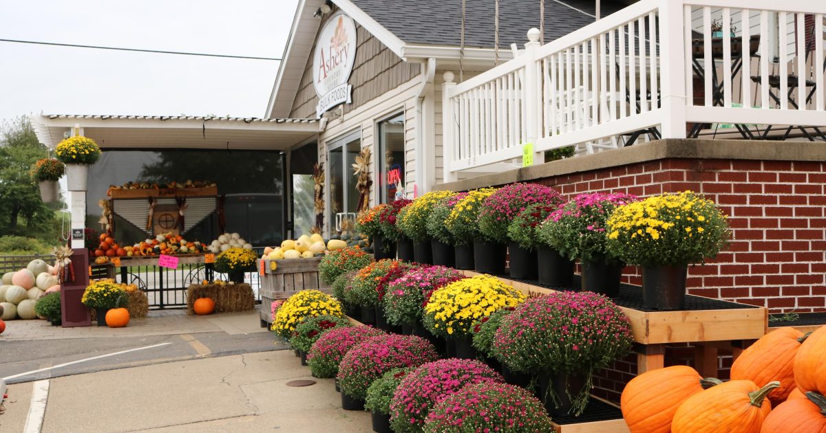 Fall Harvest Fest | Ohio's Amish Country