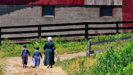 Gene-Wintersole-How-Amish-Com-are-organized