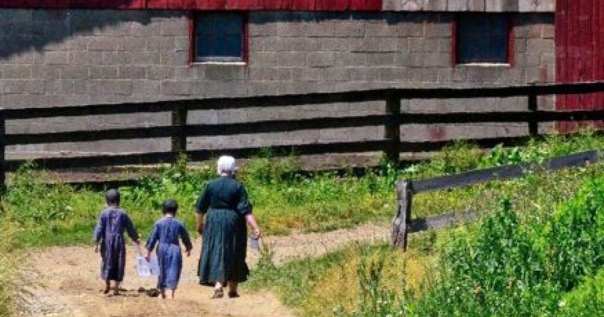 How are Amish communities organized? | Ohio's Amish Country