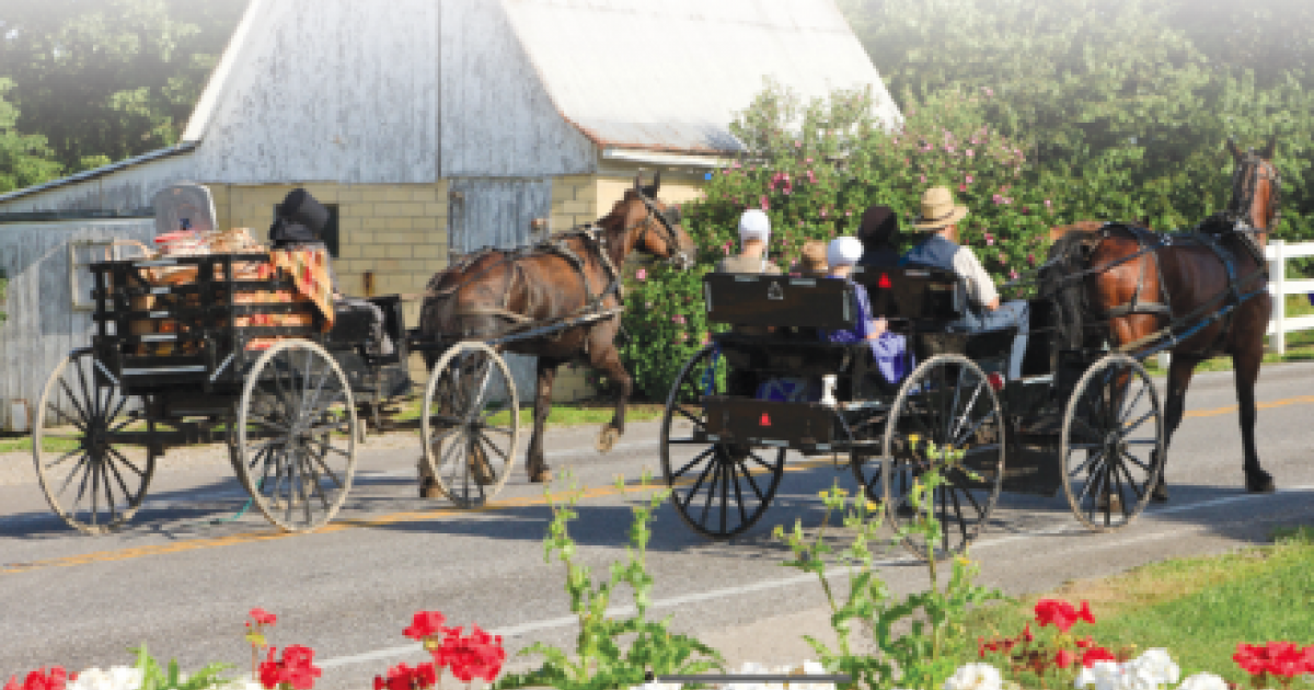 Quilting the Amish way