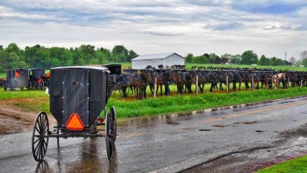 Gene-Wintersole-Preparing-Amish-Home-for-Church