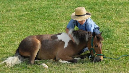 Amish-and-their-horse-Doyle-Yoder