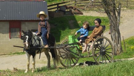 The Health Of The Amish Ohio S Amish Country