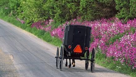 The traditional Amish youth period of Rumspringa | Ohio's Amish Country