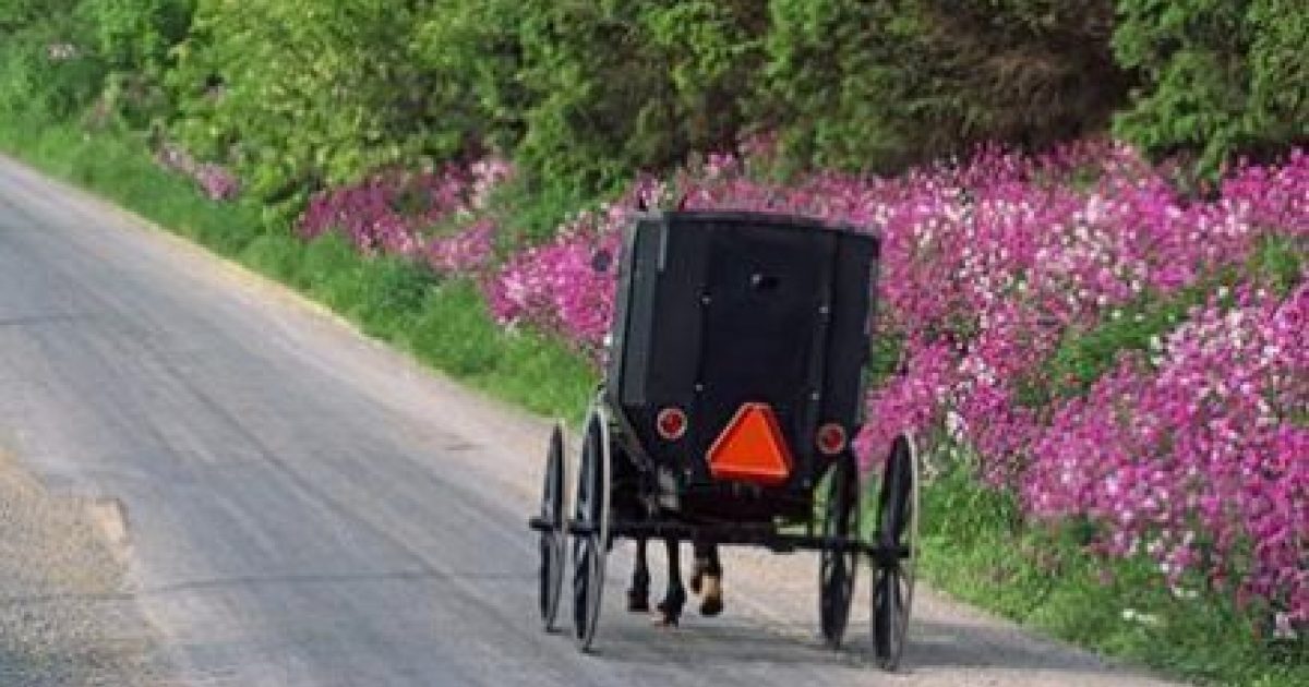 The Traditional Amish Youth Period Of Rumspringa | Ohio's Amish Country