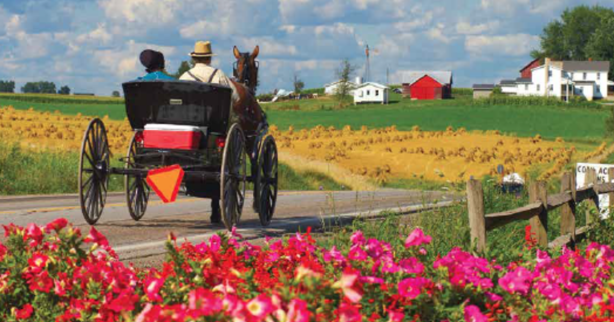 Winery Near Sugarcreek, Ohio  Amish country ohio, Amish country, Ohio  travel