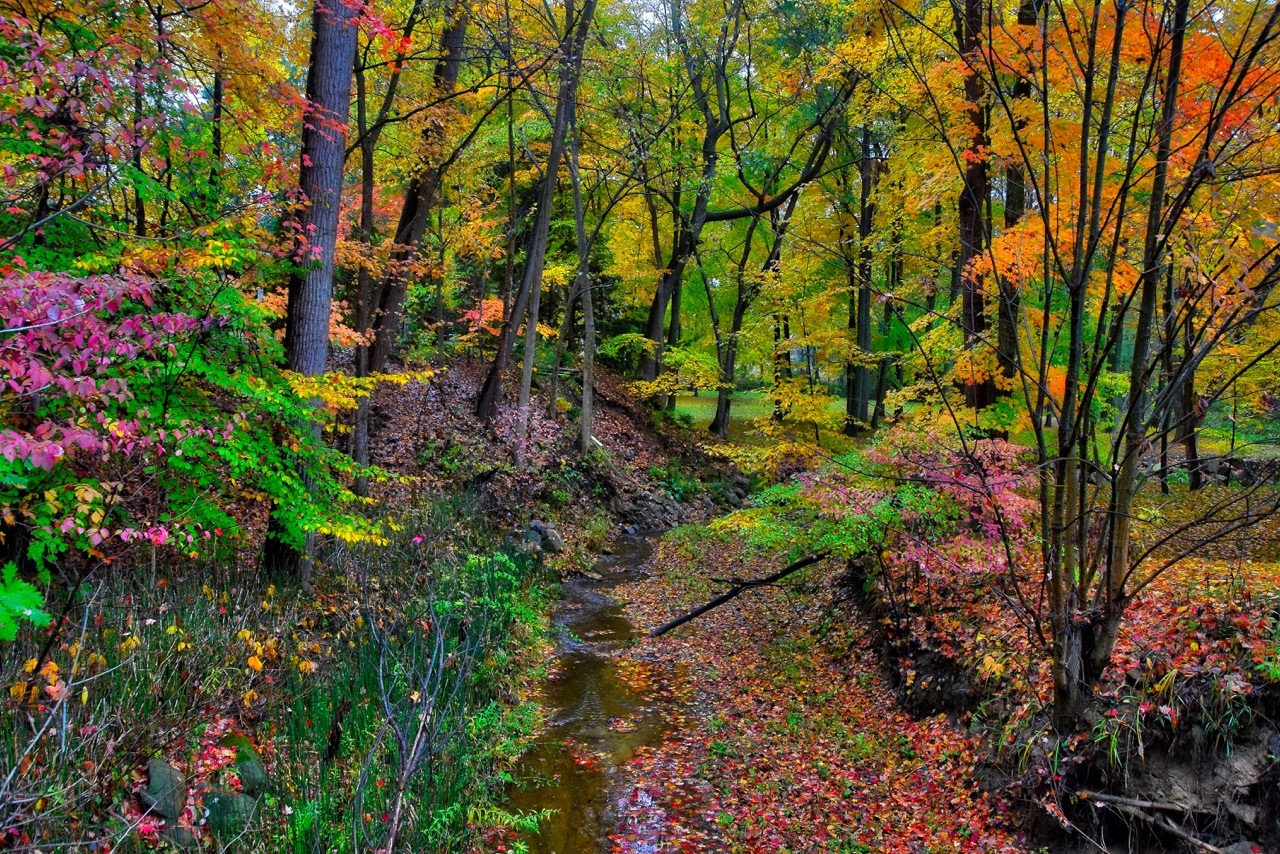 Visiting Ohio's Amish Country in the Fall | Ohio's Amish Country