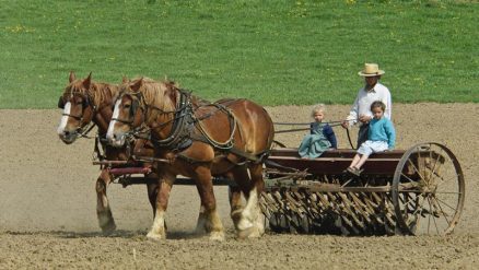 Amish-Ordnung