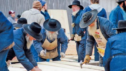 Difference entre amish et mormon