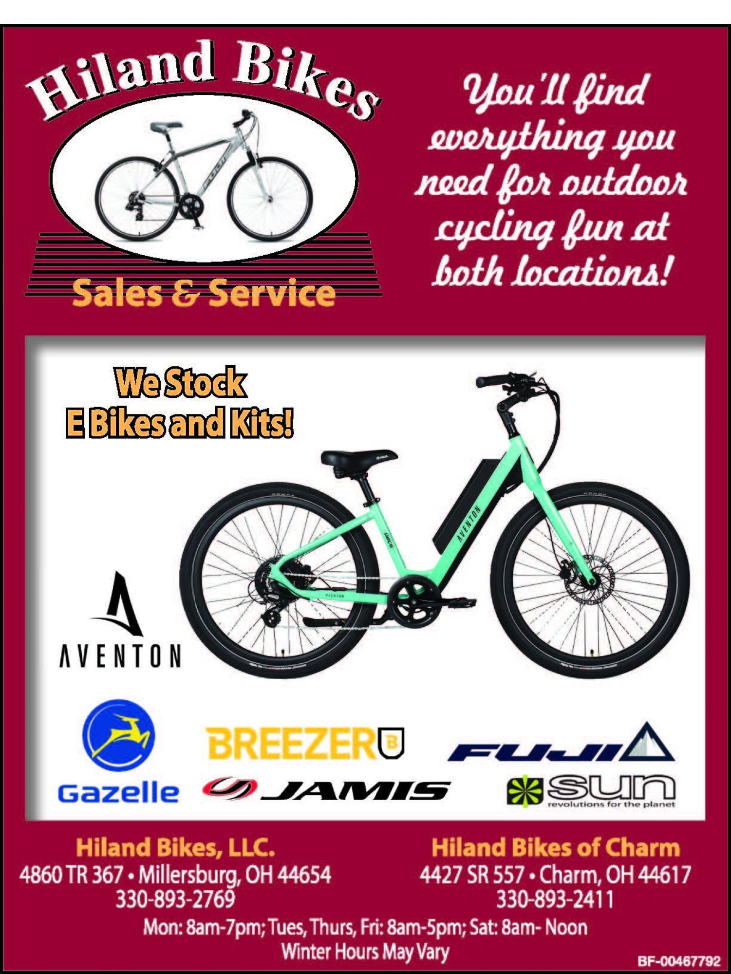 bicycle sales and service near me