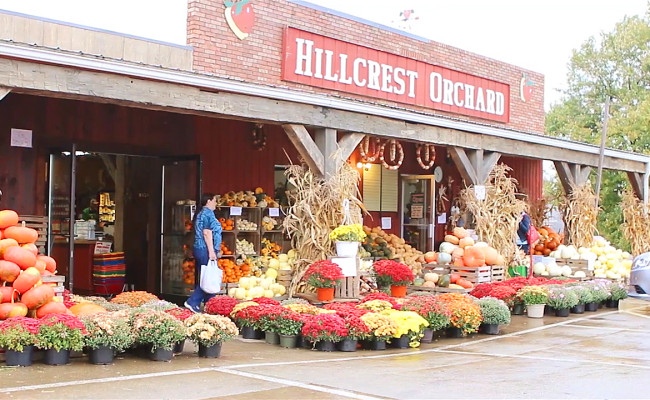 Hillcrest Orchard of Walnut Creek | Ohio&#39;s Amish Country