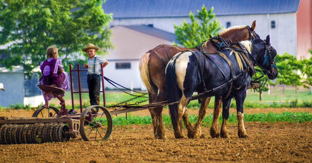 Middlefield Ohio s Amish Country