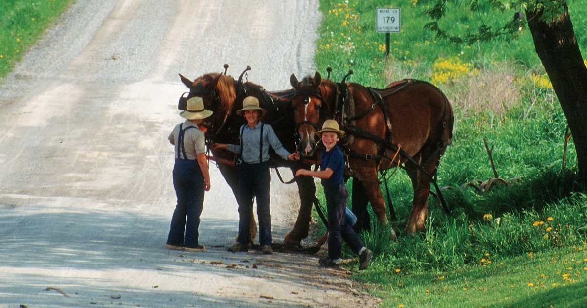 Fredericksburg Ohio's Amish Country