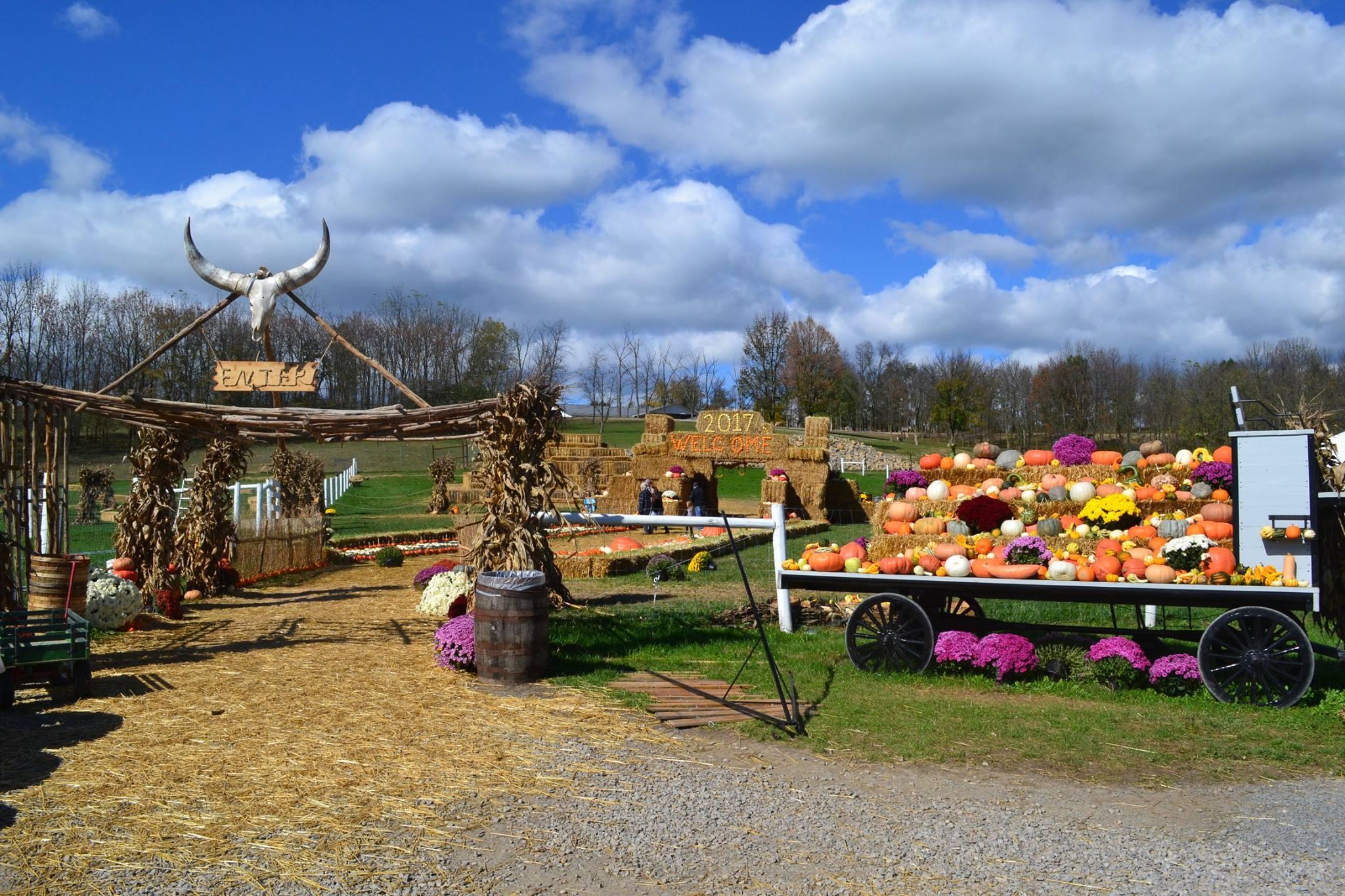 Fall Festival at The Farm at Walnut Creek Ohio's Amish Country
