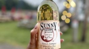 Anniversary Party at Sunny Slope Winery