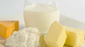 Butter, Cheese, Yogurt Workshop